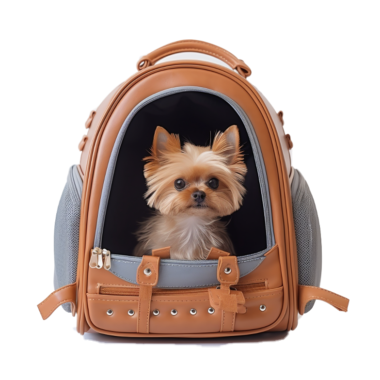 Plantpet Innovator of ecofriendly pet supplies